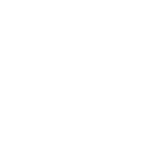 Mermaid Scientist