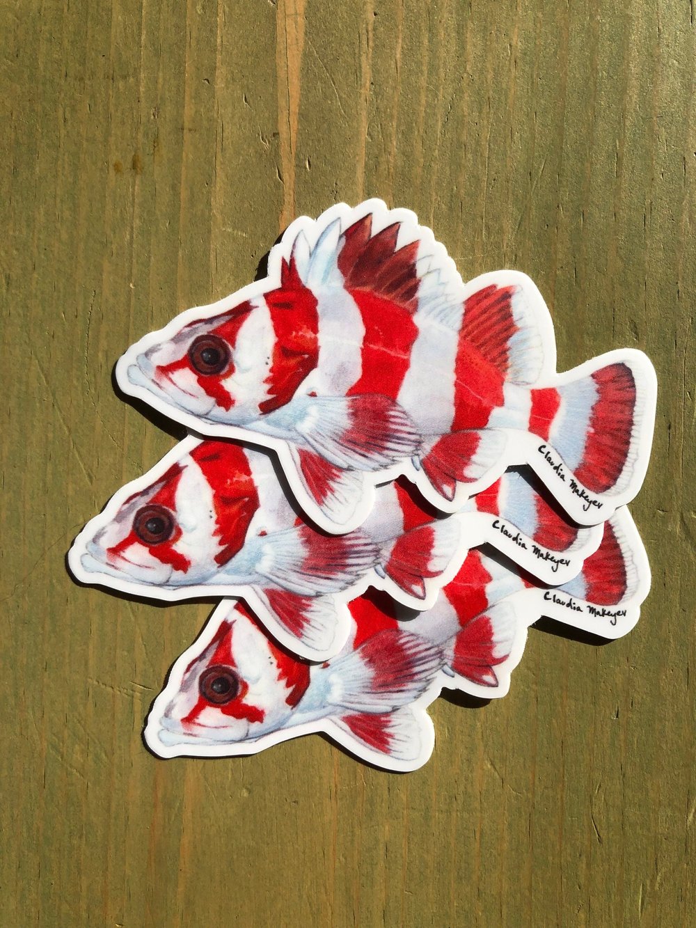 3 Flag Rockfish Stickers