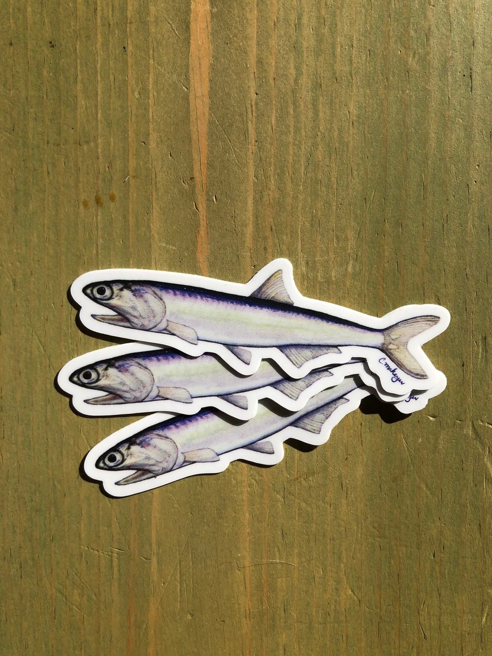 Anchovy Stickers 3-Pack