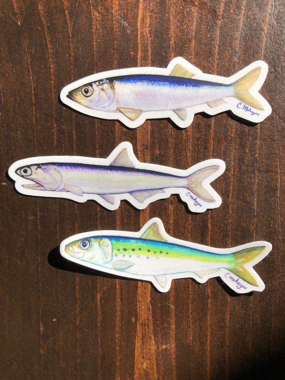 Bait Fish Stickers 3-Pack
