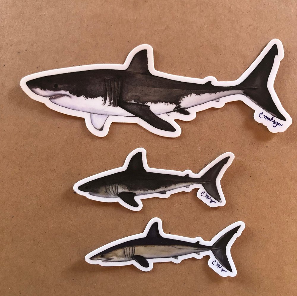 California Shark Variety Stickers 3-Pack