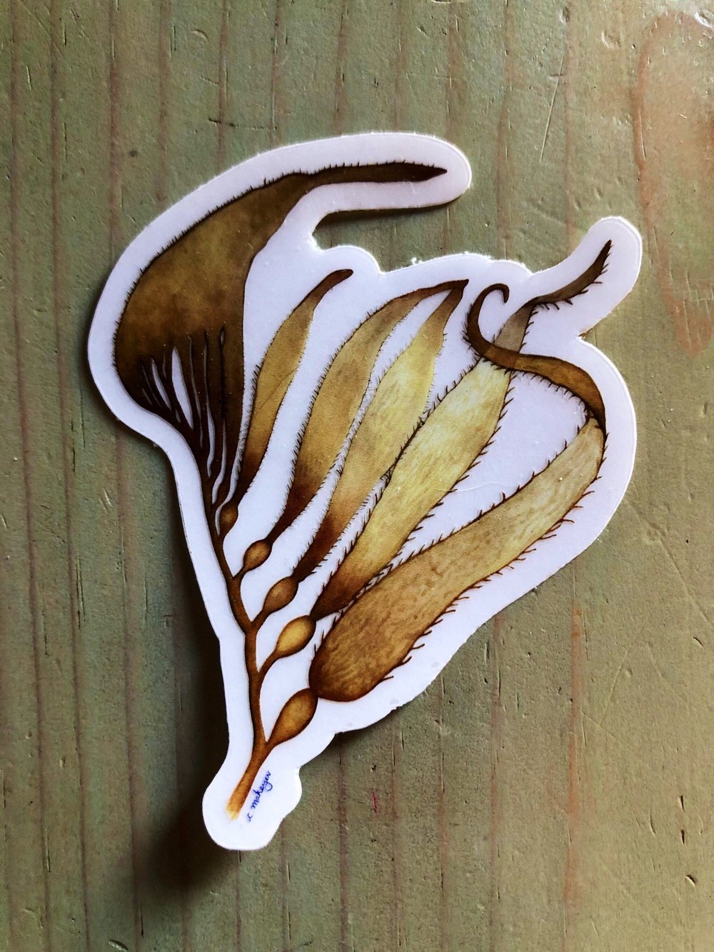 Giant Kelp Sticker