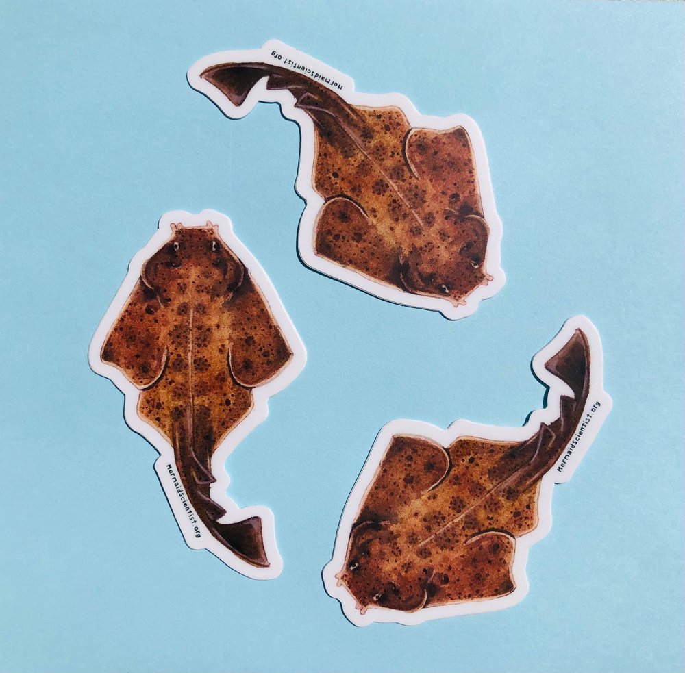 Pacific Angel Shark Sticker 3-Pack