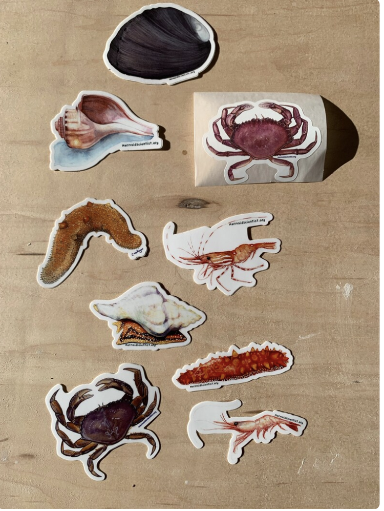 Sea Creatures Variety Stickers - 10 Pack