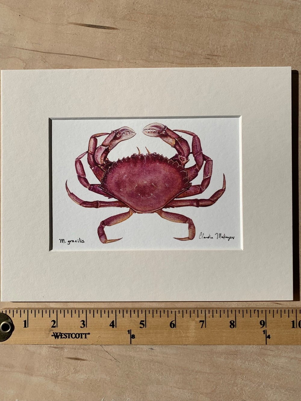 Slender Crab Print