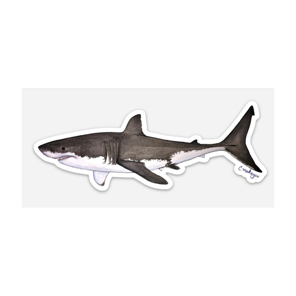 XL White Shark Sticker